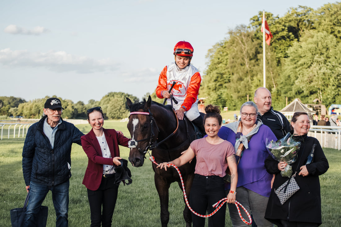 Regnskab Shahansha 2025